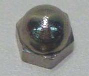 NUT,ACORN,10-24